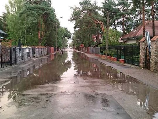 Legionowo. Walka ze zmianami klimatu