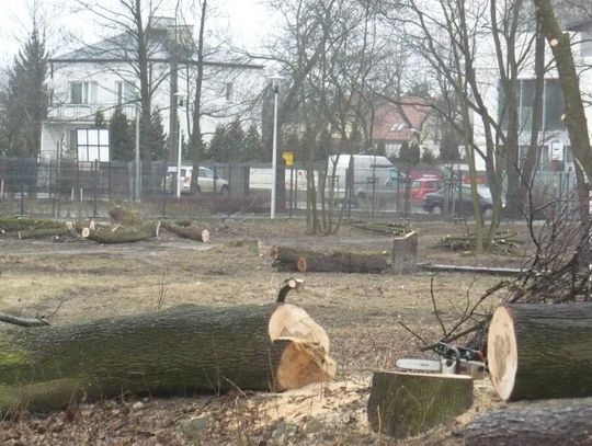 LEGIONOWO. Wielkie rżnięcie w centrum