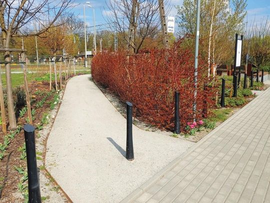 LEGIONOWO. Wiosna w parkach kieszonkowych PWK