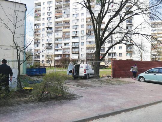 LEGIONOWO. Wycinają i dogęszczają przy Norwida [NOWE INFORMACJE]