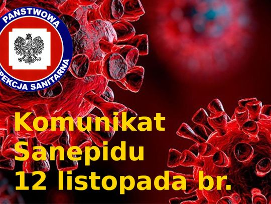 LEGIONOWSKI. 44 zakażenia koronawirusem w ciągu doby