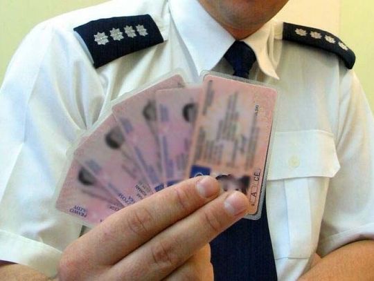 LEGIONOWSKI. Cofnięte uprawnienia i sądowe zakazy - 4 osoby zatrzymane