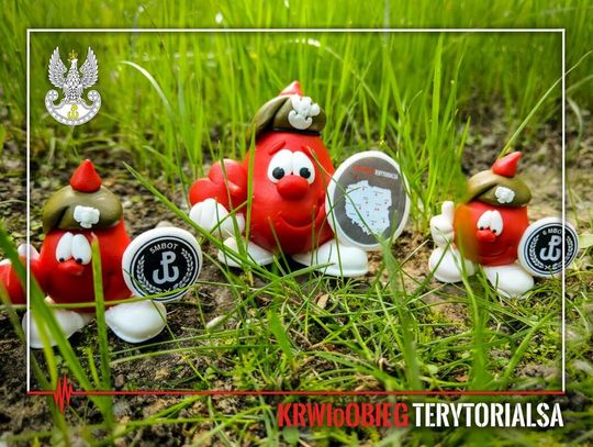 LEGIONOWSKI. KRWIoBIEG Terytorialsa