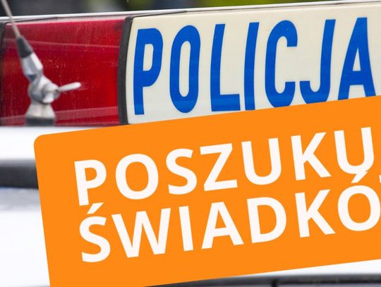 LEGIONOWSKI. Policja poszukuje sprawców kradzieży