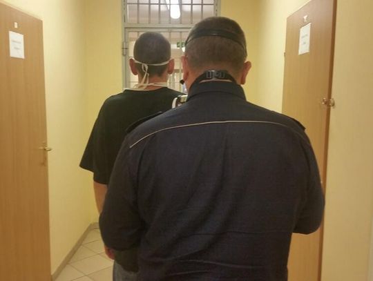 LEGIONOWSKI. Ukradli i rozłożyli skradzione auto
