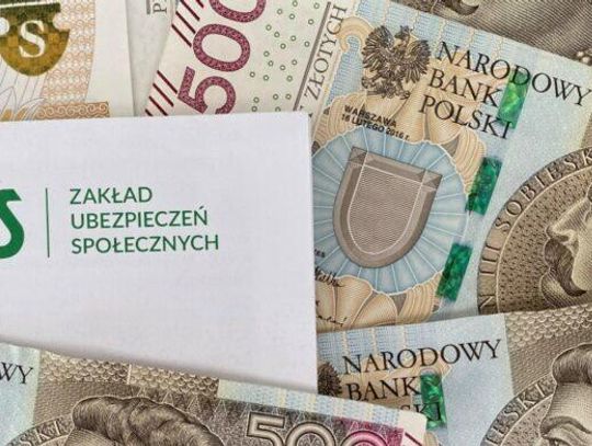 LEGIONOWSKI. Uwaga na oszustów internetowych. Podszywają się pod ZUS i wnioski 800 plus