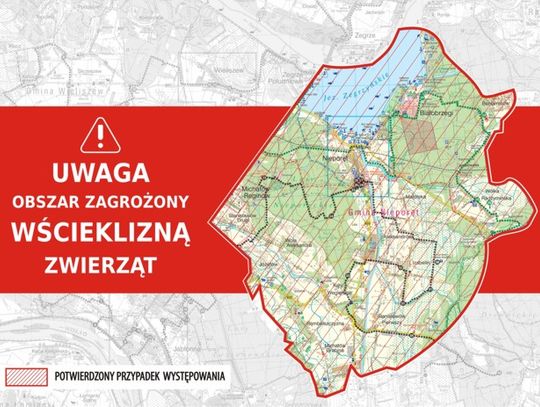 LEGIONOWSKI. UWAGA !!! nietoperze mają wściekliznę