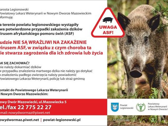 LEGIONOWSKI. Zwalczanie afrykańskiego pomoru świń - rozporządzenie wojewody