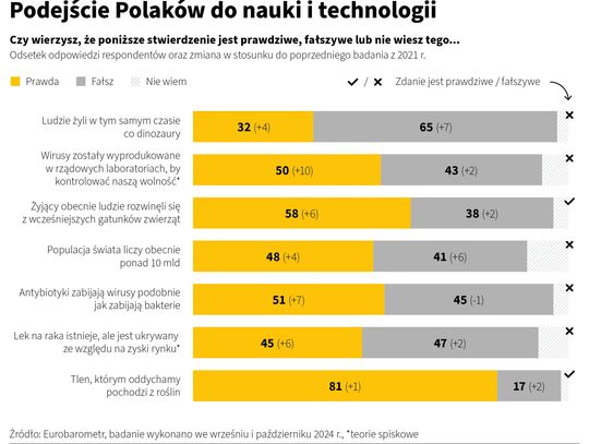 Masaż sportowy vs. automasaż – co wybrać po treningu, by szybciej odzyskać formę?