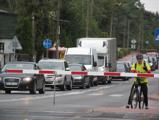 MIASTO TORAMI PODZIELONE. Jutro konsultacje w Ratuszu (czwartek 12 września godz. 18.00)