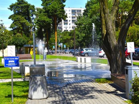 Mokre miejsca w Legionowie