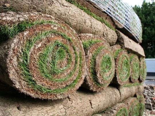 NATURA. Szybki sposób na trawnik