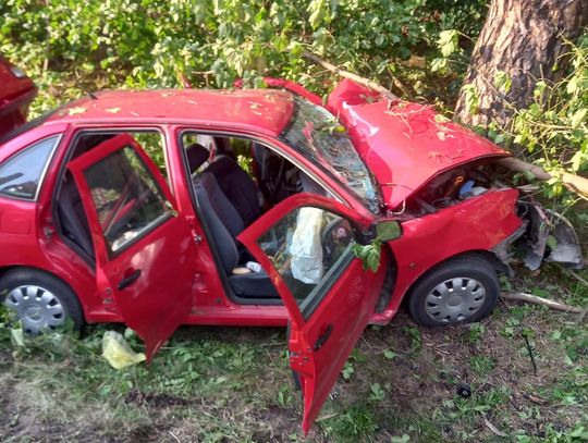 NIEPORĘT. 73-latek wypadł z drogi i uderzył w drzewo! Reanimacja nie przyniosła skutku