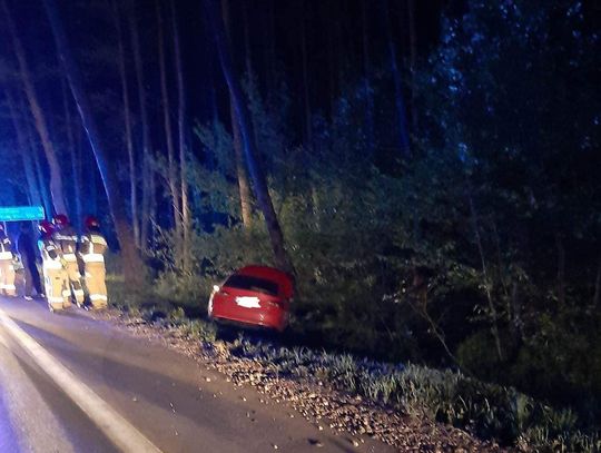 NIEPORĘT. Zjechał z drogi żeby nie zabić zwierzęcia