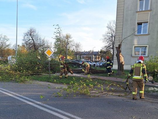 Połamane drzewo zatarasowało ulicę
