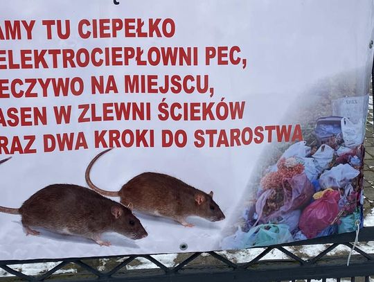 Pomiędzy cmentarzem i wysypiskiem. KRÓTKO I NA TEMAT...