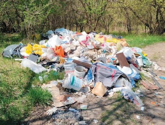 POWIAT. Majówka nad Narwią za Sikorami