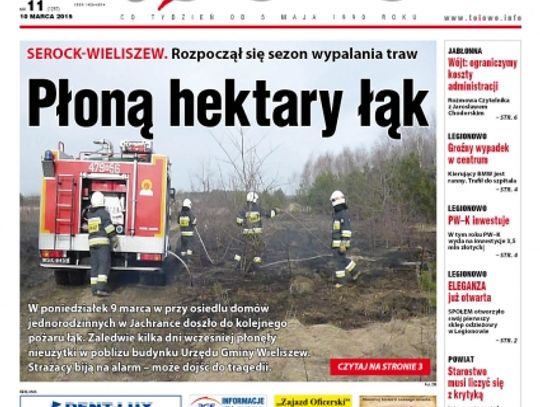 Przegląd wydania nr. 11
