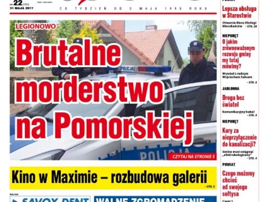 Przegląd wydania nr. 22