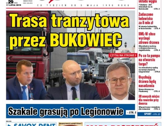 Przegląd wydania nr. 29
