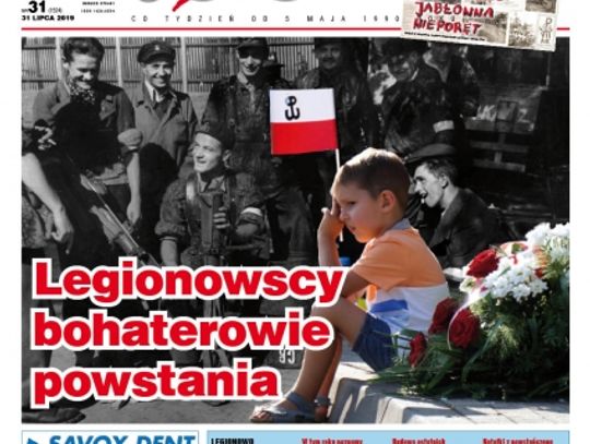Przegląd wydania nr. 31