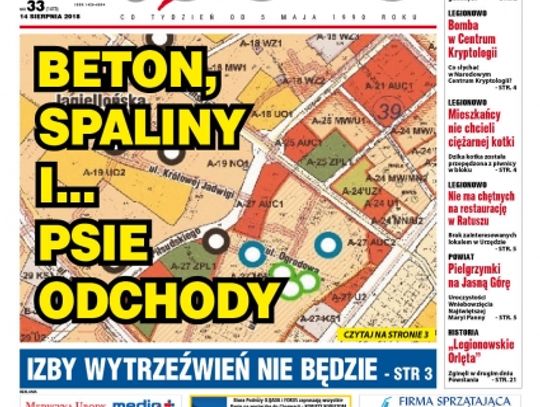 Przegląd wydania nr. 33