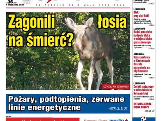 Przegląd wydania nr. 36