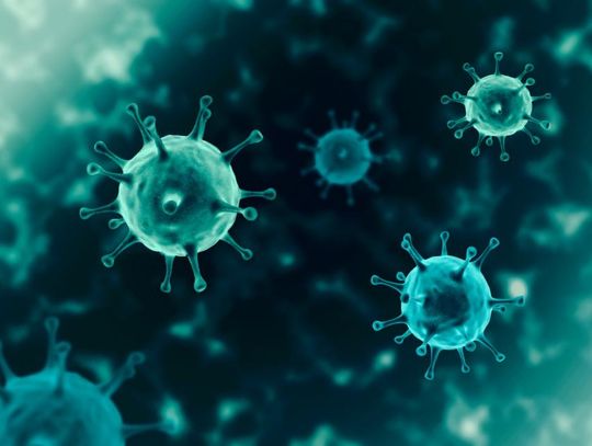 Przejście SARS-CoV-2 w kierunku wirusa sezonowego może potrwać nawet 10 lat