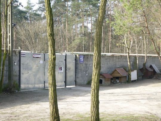 Schronisko częściowo nielegalne