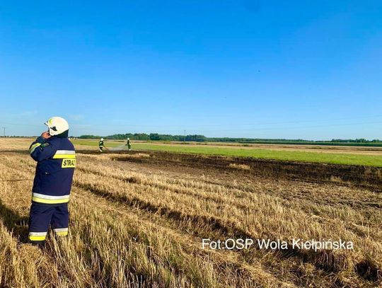 SEROCK. 1000 m2 w ogniu! Zapaliło się pole po skoszonym zbożu