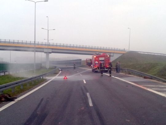 SEROCK. 14 i 90-latka trafiły do szpitala. Wypadek na obwodnicy