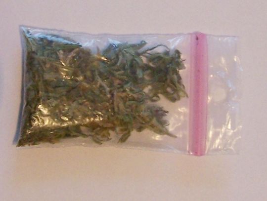 SEROCK. 2 gramy marihuany. Dwaj 18-latkowie zatrzymani