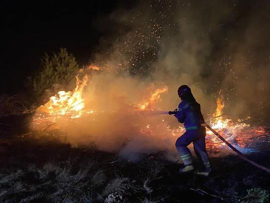 SEROCK. Płonęła trawa i gałęzie. Akcja gaśnicza w Dosinie