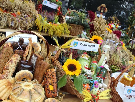 SEROCK. Święto dziękczynienia za urodzajne plony