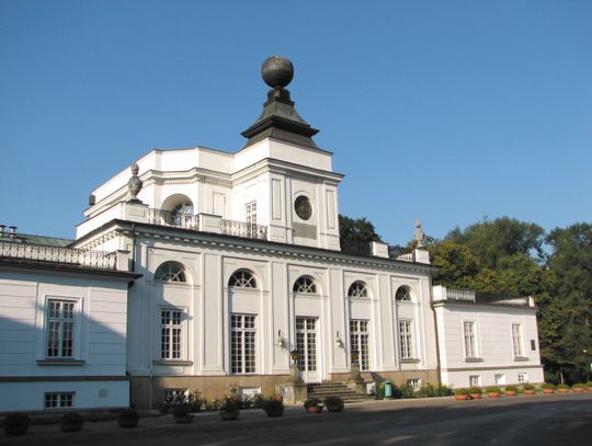 Steinway na tle kwitnącej magnolii
