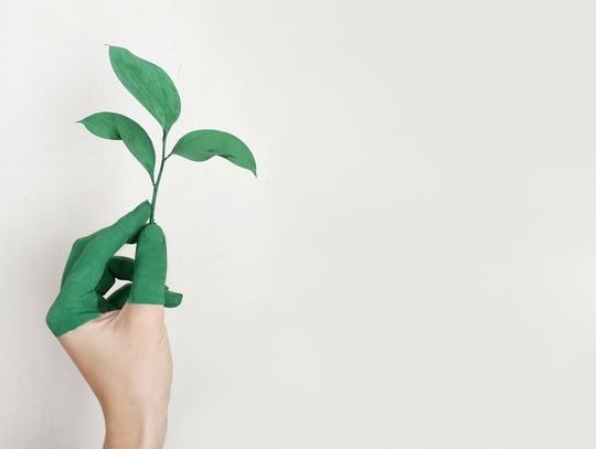 Studia na kierunku Ochrona Środowiska - zadbaj o naszą planetę