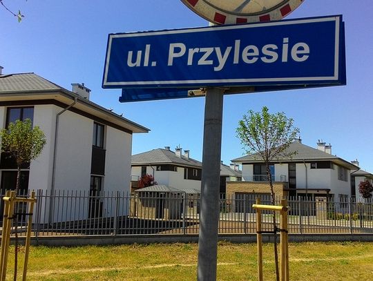 W BIEŻĄCYM NUMERZE. Zuchwali złodzieje na PRZYLESIU