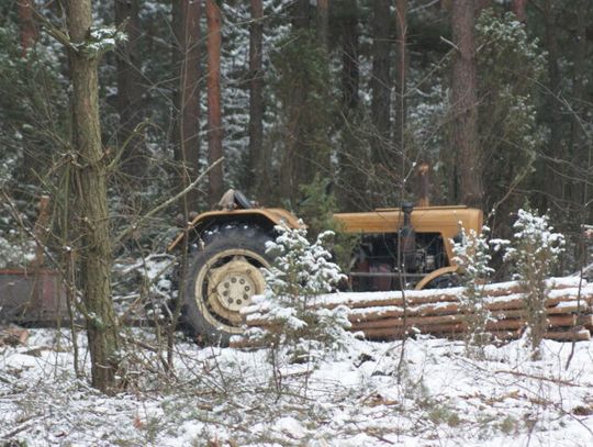 WIELISZEW. Deweloper w "Leśnym Jarze"