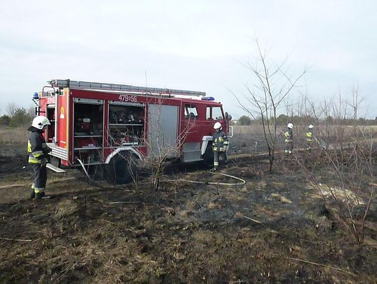 WIELISZEW.  Ogromny pożar łąk