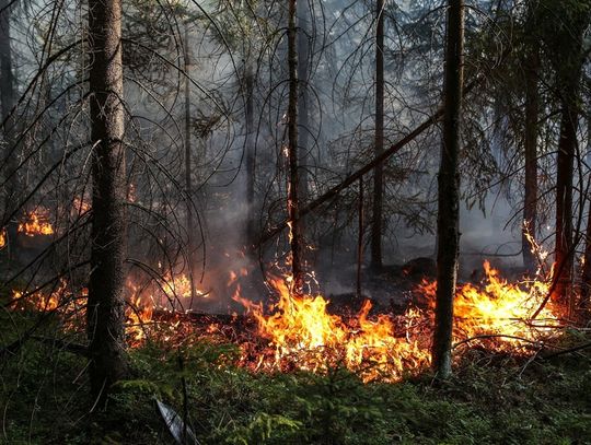 WIELISZEW.  Pożar w Olszewnicy Starej