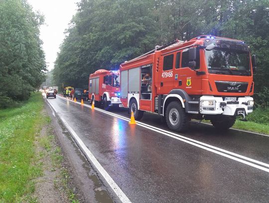 WIELISZEW. Przewrócone drzewo przyczyną minikarambolu