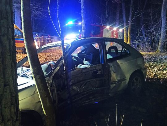 WIELISZEW. Wypadł z drogi i zatrzymał się na drzewie