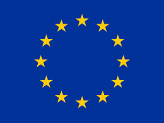 Wybory europejskie – czy warto być w Unii?