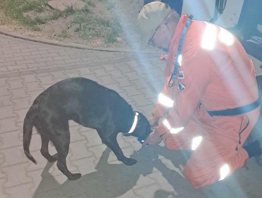 Zaginiona kobieta odnaleziona przez drużynę OSP JRS Legionowo