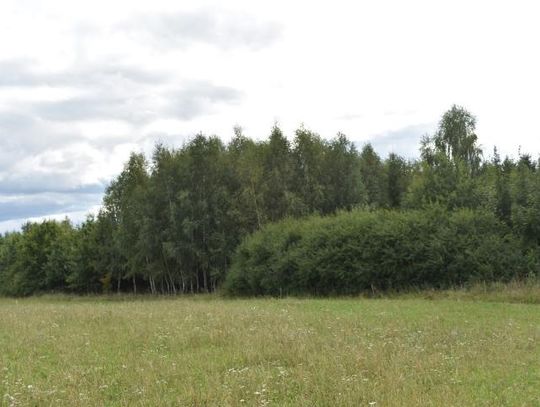 Zastanawiasz się, jaką działkę kupić ? Podpowiadamy co mówi prawo