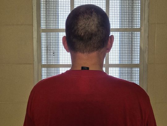 Zgłaszała kradzież, a policjanci już łapali złodzieja. Błyskawiczna akcja w Nieporęcie