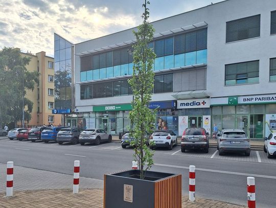 Zielona transformacja ul. Piłsudskiego?