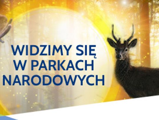 Zobacz jesienną odsłonę Parków Narodowych współpracujących z PGE