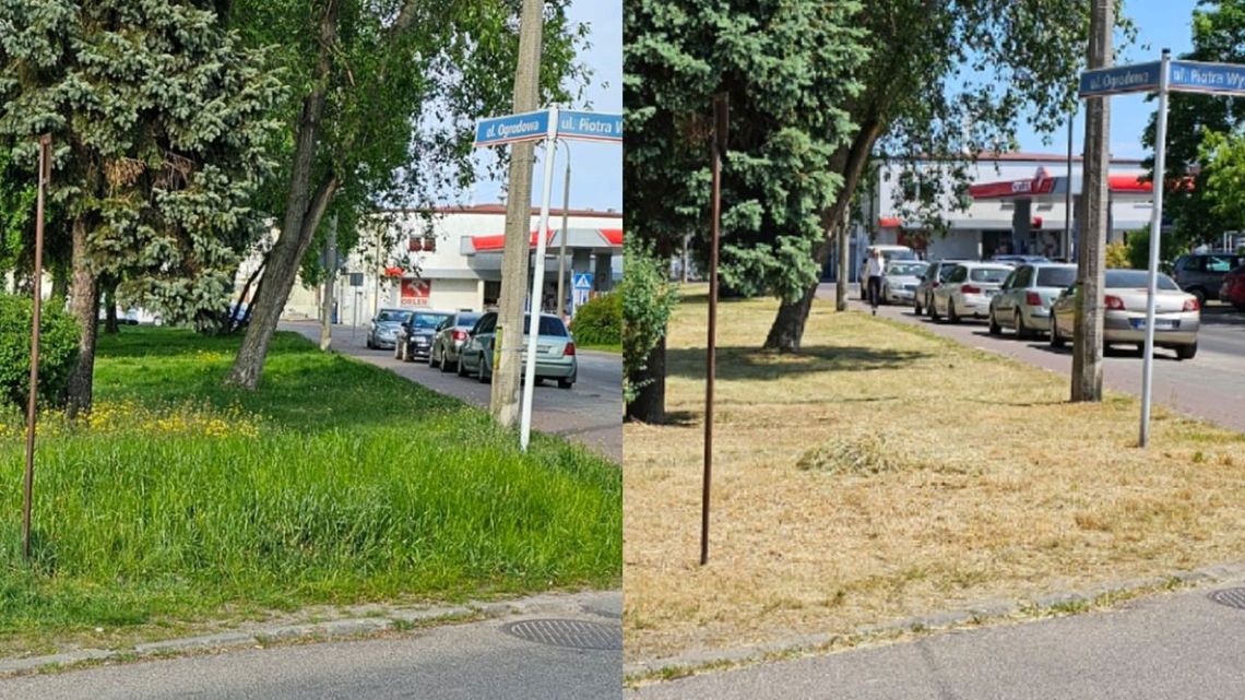 APEL CZYTELNIKA. Koszą TRAWNIKI zamiast pielęgnować...