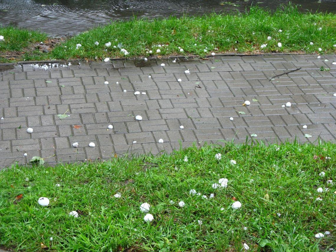 CHOTOMÓW. Otwarcie ofert na budowę chodnika